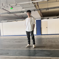 سامع كلاب بتنبح (الحكايه مش حكايه واحد وزمايله خانته) عصام صاصا الكروان