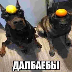 дисс на шофера