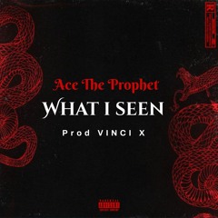 What i seen (prod. Vinci X)