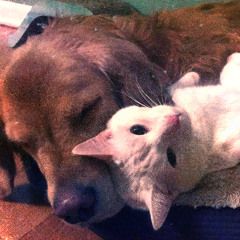 Watch Me Fail ft. Ebony White