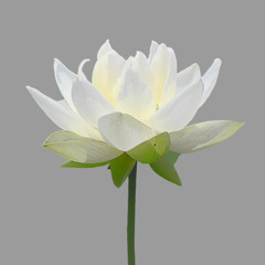 上师唱诵: 简版上师瑜伽