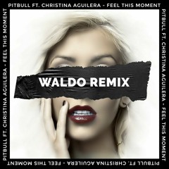pitbull - Feel This Moment ft. Christina Aguilera (Waldo Remix)