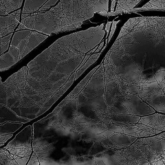 물끓는소리_ableton