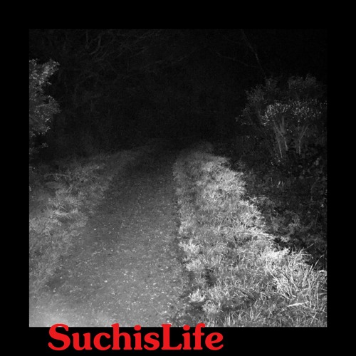 Stream Fu Go By Suchislife Listen Online For Free On Soundcloud