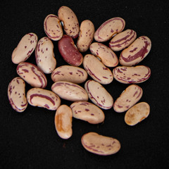 Semillas: Emanuel y sus frijoles