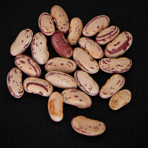 Semillas: Emanuel y sus frijoles