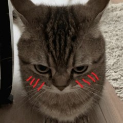 Yungatita - 7 Weeks & 3 Days (sped up, nightcore)