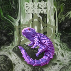 Dry Groove - The Secret Escape (Original Mix)