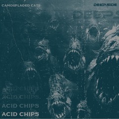 Camøuflaged Cats - Acid Chips [DSC]