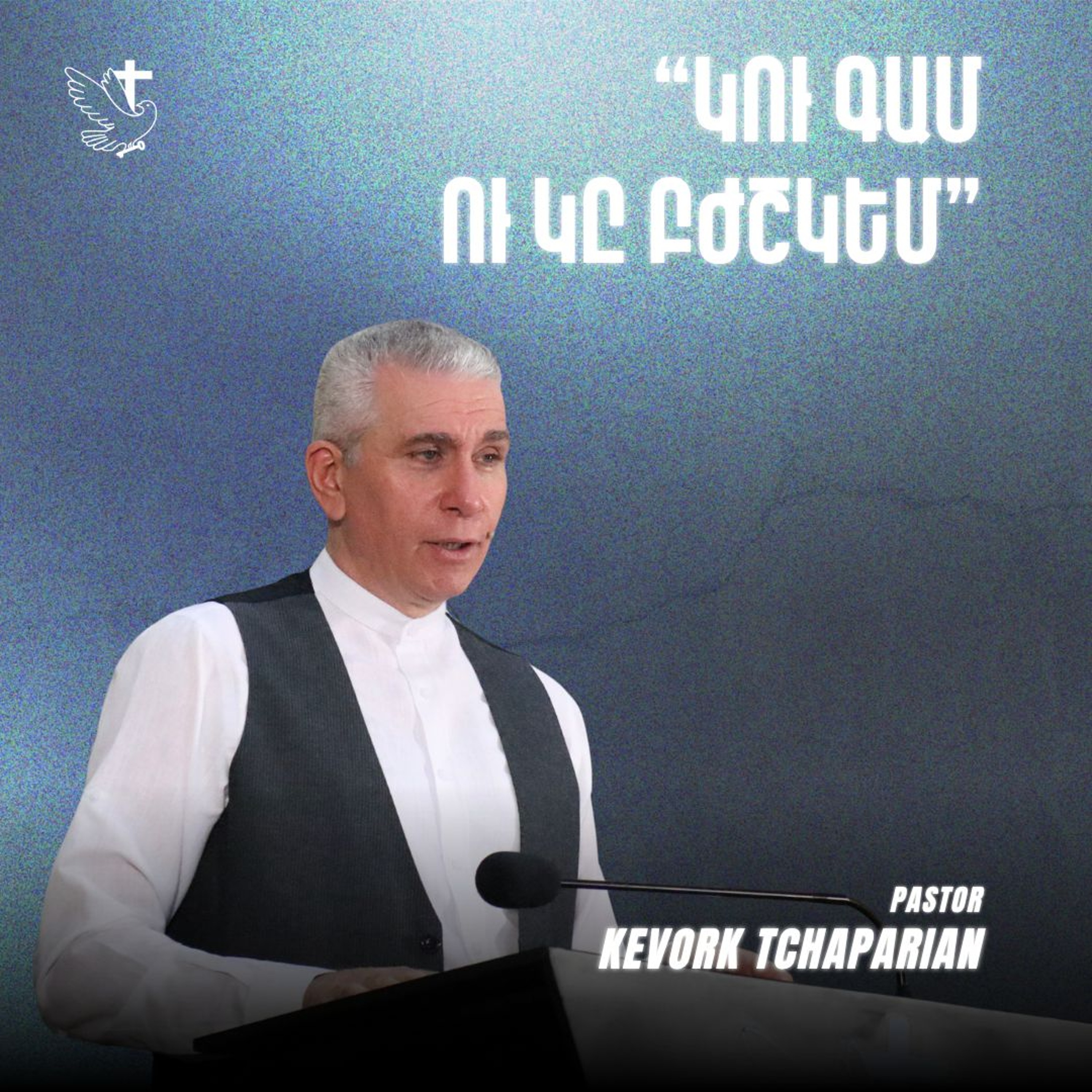 "Կու Գամ ու Կը Բժշկեմ" episode artwork