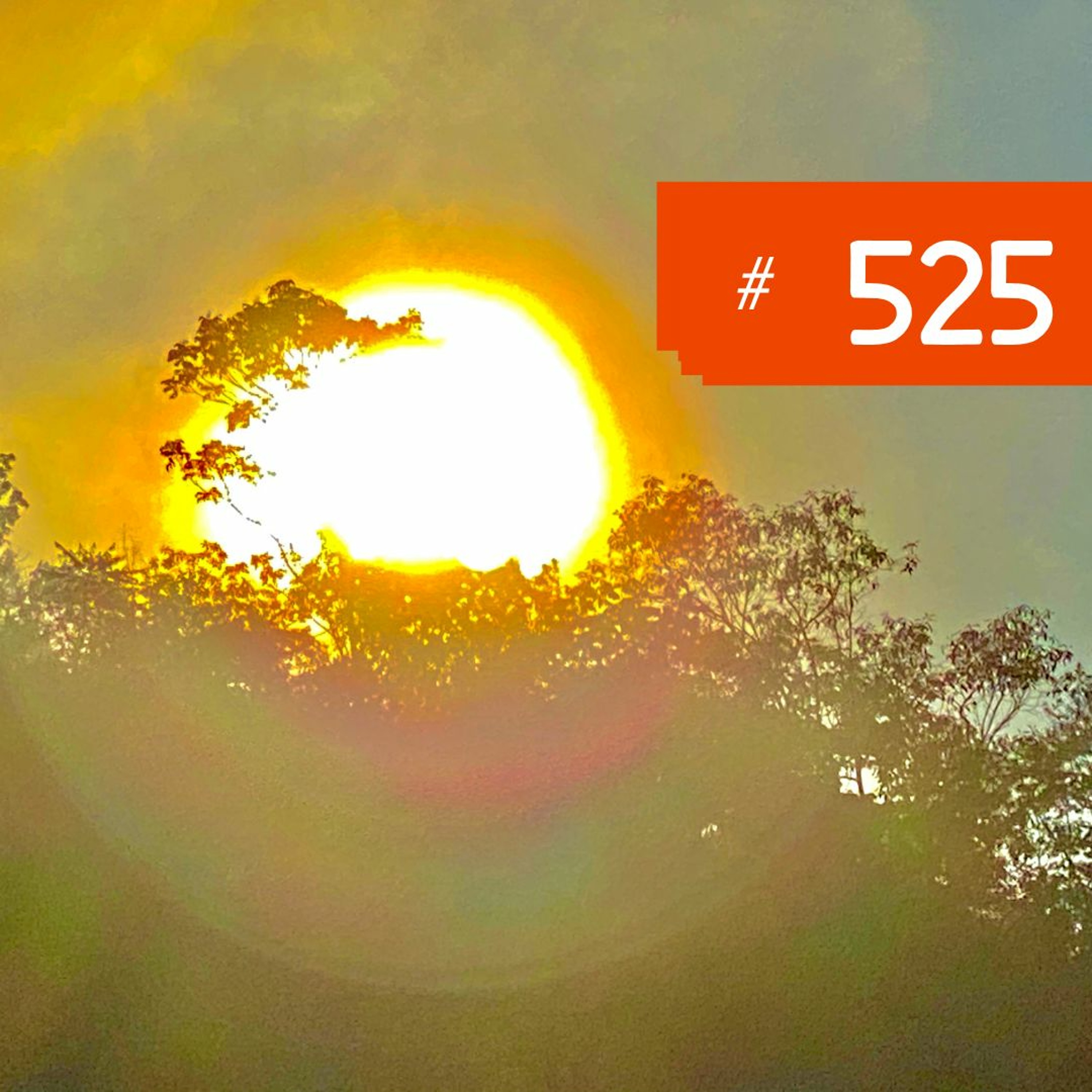O SOL