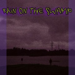 Rain on the Swamp