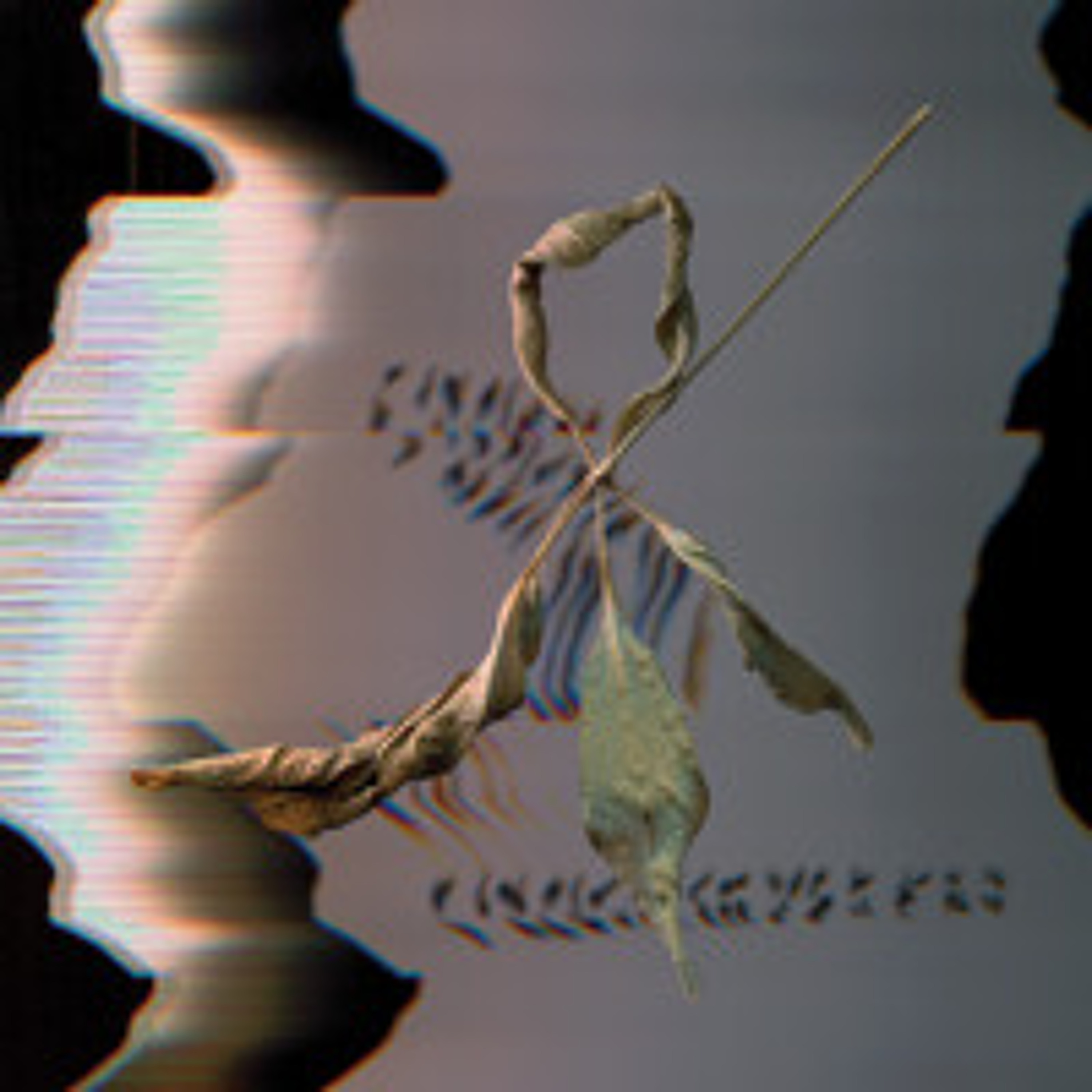 T. Gowdy • Blest Age! episode artwork