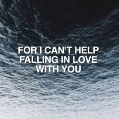 Can't Help Falling In Love (Guitar Excerpt)