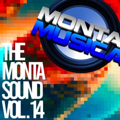 Static - The Monta Sound Vol. 14