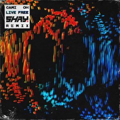 Live Free (Shay. Remix)