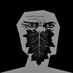 Way Too Much or Not Enough