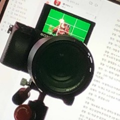 후회할지도 모르지
