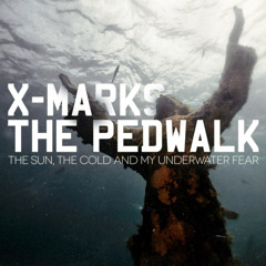 The Sun, the Cold, My Underwater Fear
