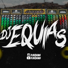 RITMADA SANFONINHA - DJ AMARAL & DJ EQUIAS