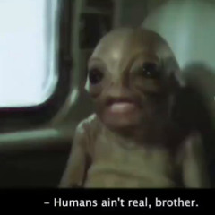 Humans Aint Real Brother