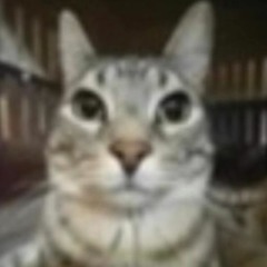 [FREE] DESTROY LONELY (OPIUM) X PLAYBOI CARTI TYPE BEAT (PROD DJ FORTNITE)