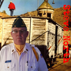 Stool Pigeon Saturday - Steve North On The 75th Anniversary of the Merci Train Boxcar
