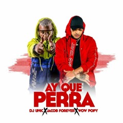 Jacob Forever Ft. Wow Popy - Ay Que Perra