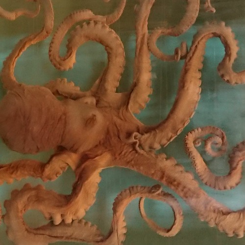 Demo_T01_inProgress.exe