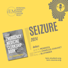 Seizure (2024)