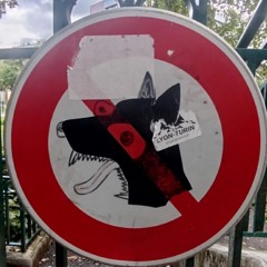 >G2 | crying like some wet dog