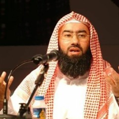 علي بن أبي طالب - الشيخ نبيل العوضي