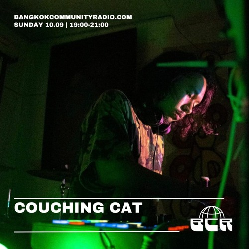 Couching Cat - 10th September 2023