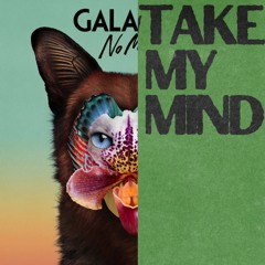 Take My Mind x No Money (Galantis, WizTheMc, Bees 6 Honey)