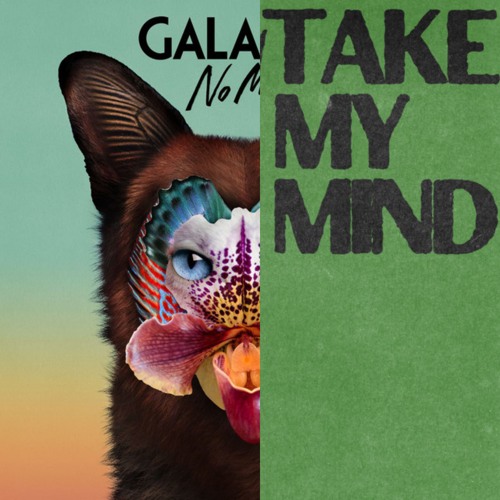 Take My Mind x No Money (Galantis, WizTheMc, Bees 6 Honey)