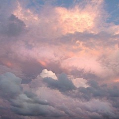 S - V H S