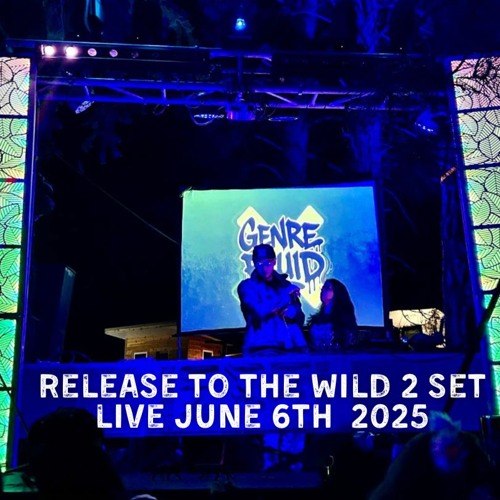 Release To The Wild 2 Live Set