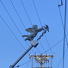 ロンリーガール