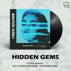 HIDDEN GEMS: Tristan Spitzer - All I Ever Dreamed (Extended Mix) [ELECTRIC EDEN RECORDS]
