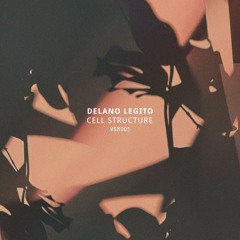 PREMIERE: Delano Legito - Sushi Girl [VSX005]