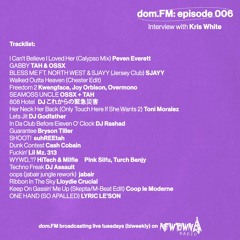 Kris White | dom.FM episode 006 with dom haley