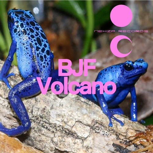 PREMIERE: BJF - Volcano (Nehza Records)
