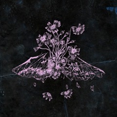 Decidí que ya estoy muerta