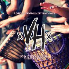 LOW X TOCA NA PISTA - Florida X Tropkillaz Ft Heavy Baile [VH Mashup Edit 2023]