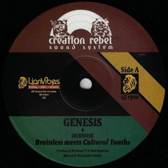 Brainless x Cultural Youths - Genesis + Dub [12" vinyl out now]