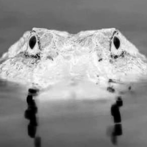 Stay A While.Mp4 (Throwaway)