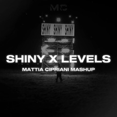 SHINY X LEVELS (Easykid, Avicii) [Mattia Cipriani Mashup]