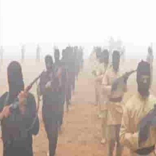 туман прод свамкпилл