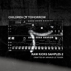 Samples Pack - Raw Kicks Samples Pack 2  (Demo)