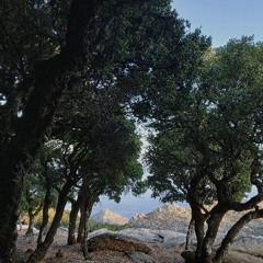 Άγιος Ισίδωρος